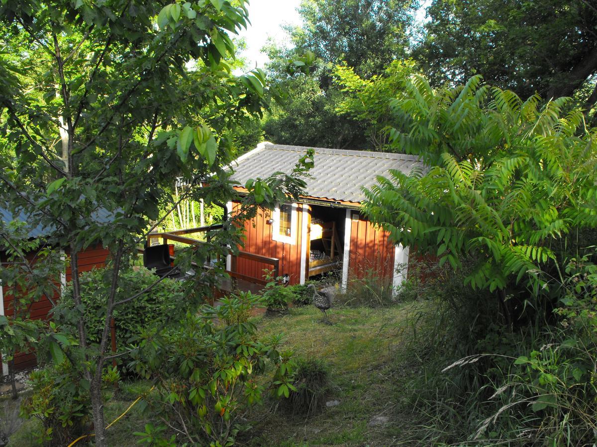 Tegelvaegen B Vila Nattrabyhamn Exterior foto